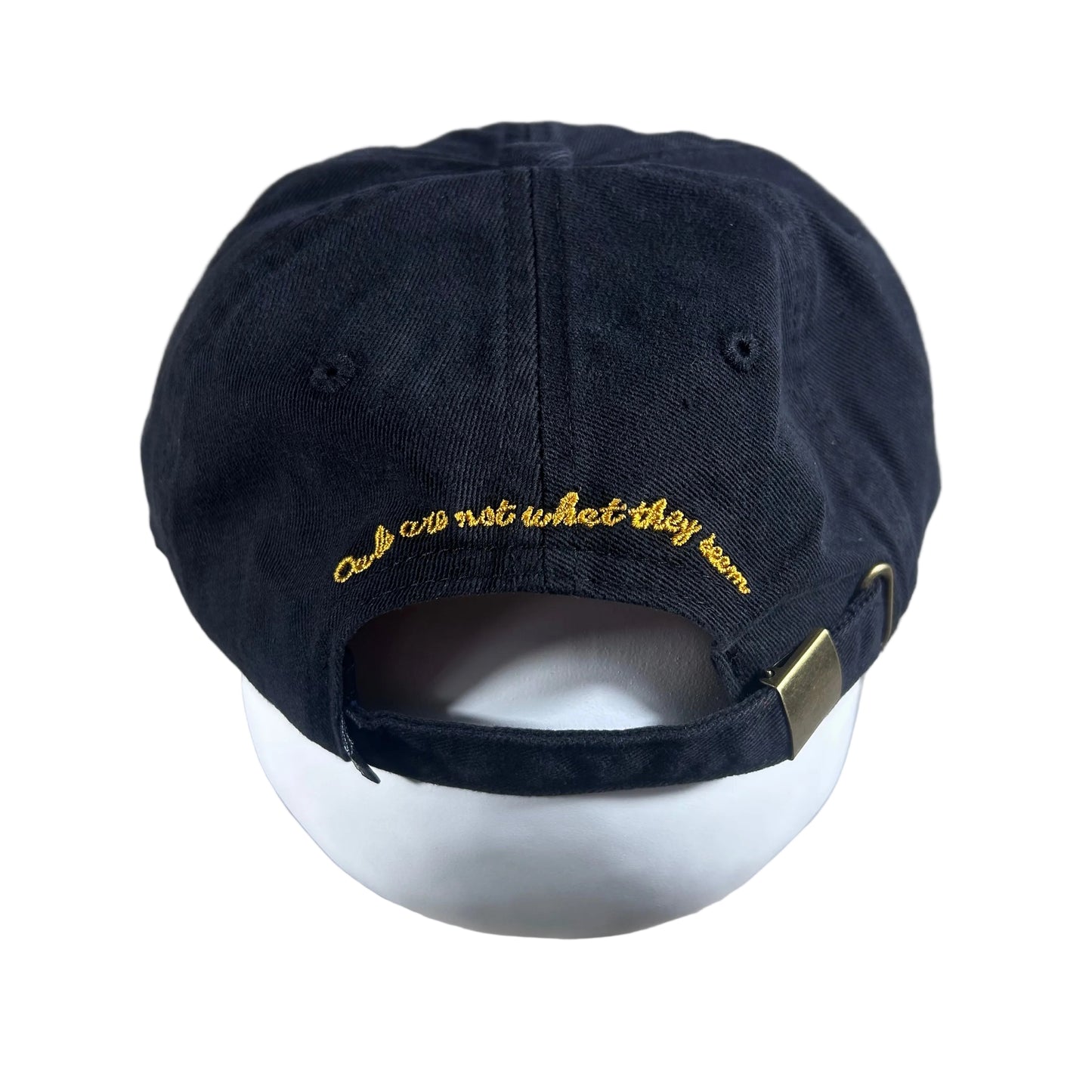 Theories - Not What They Seem Strapback Hat - Black