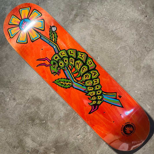 Black Label Skateboards - Elijah Ackerly Caterpillar Deck - 8.25"